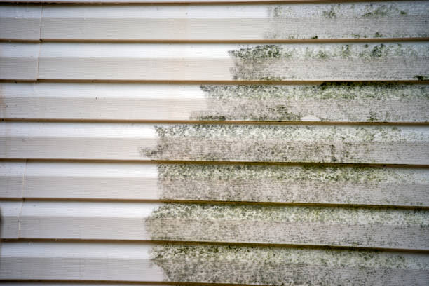Best Property Management Cleanouts  in Wrightsboro, NC